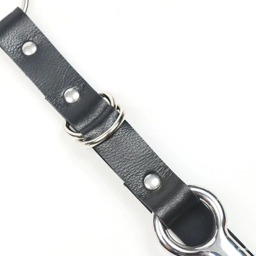 Anal Hooks Anal Leash 5853 Hook EverydayUse and with Kinky Collar 1017